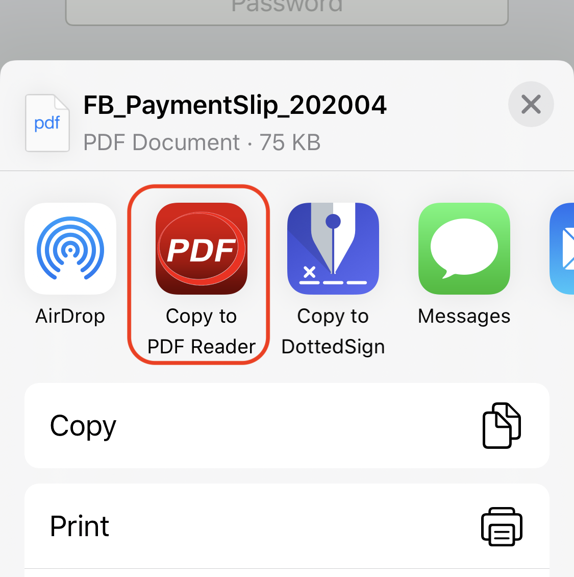 Import_PDF_Email_Attachements_02.PNG